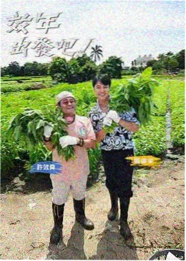 深夜食摊综艺条目封面